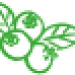 del-campo-a-tu-mesa-05